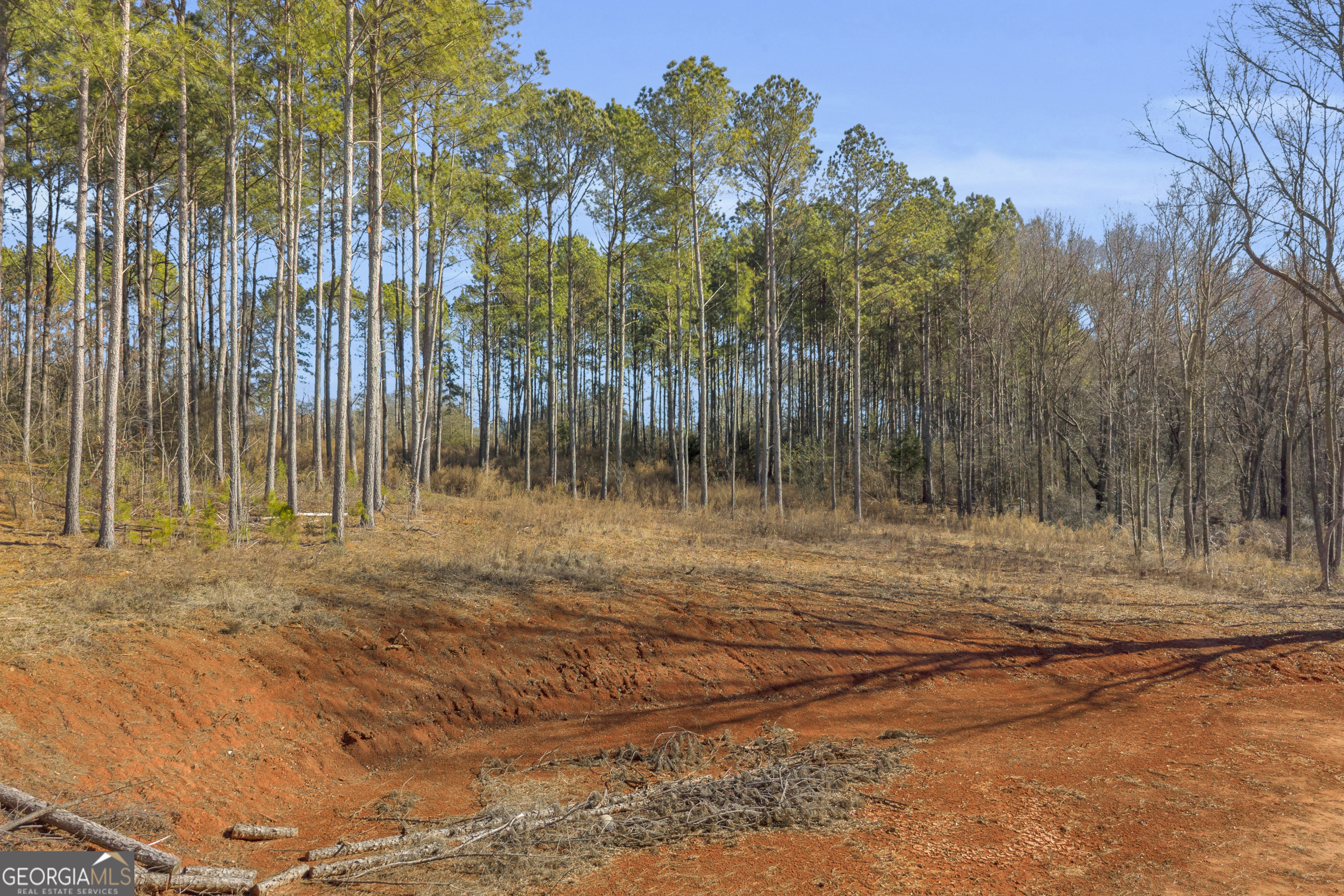0 Noah Crow Road Royston, GA 30662 - Photo 19 of 29 a view of a backyard of the house