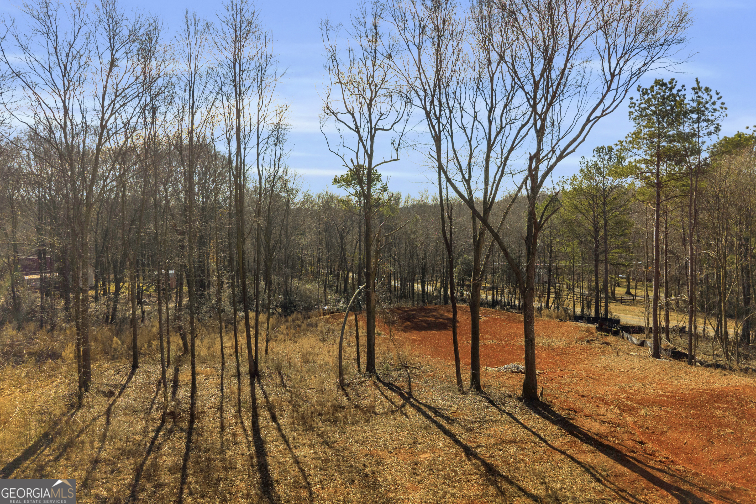 0 Noah Crow Road Royston, GA 30662 - Photo 21 of 29 a view of a yard with trees