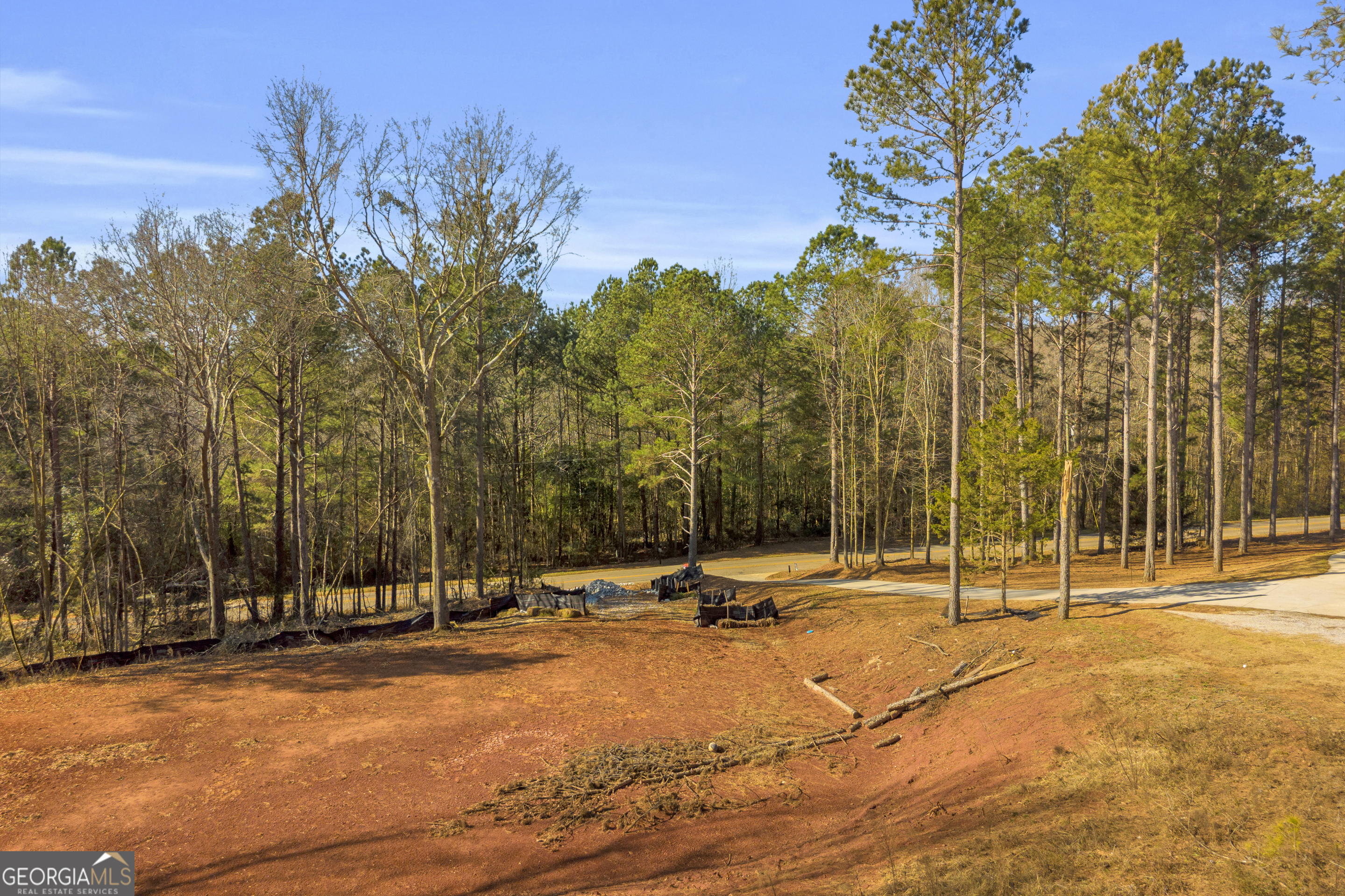 0 Noah Crow Road Royston, GA 30662 - Photo 22 of 29 a view of outdoor space with trees