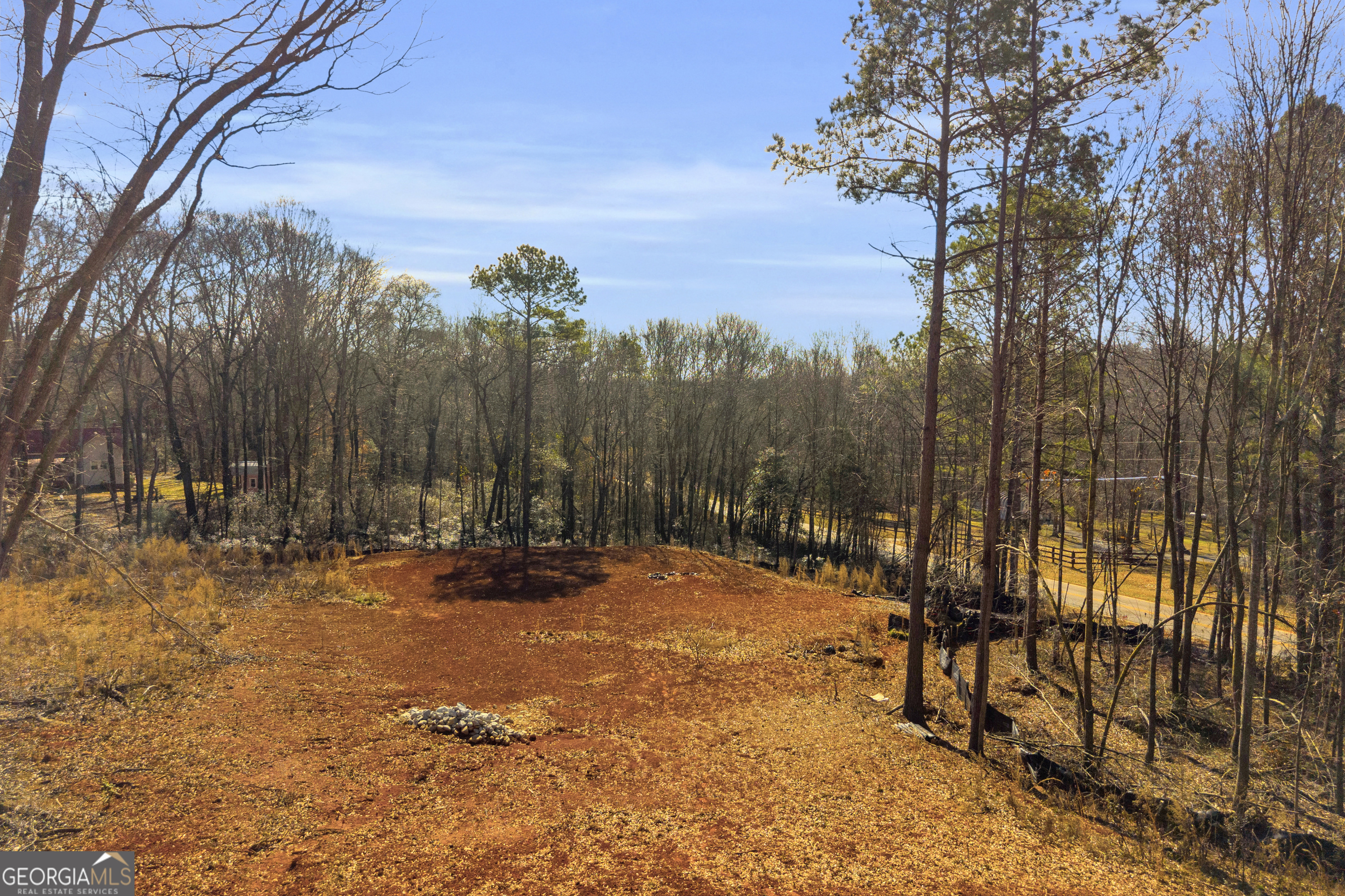 0 Noah Crow Road Royston, GA 30662 - Photo 23 of 29 a view of outdoor space with trees