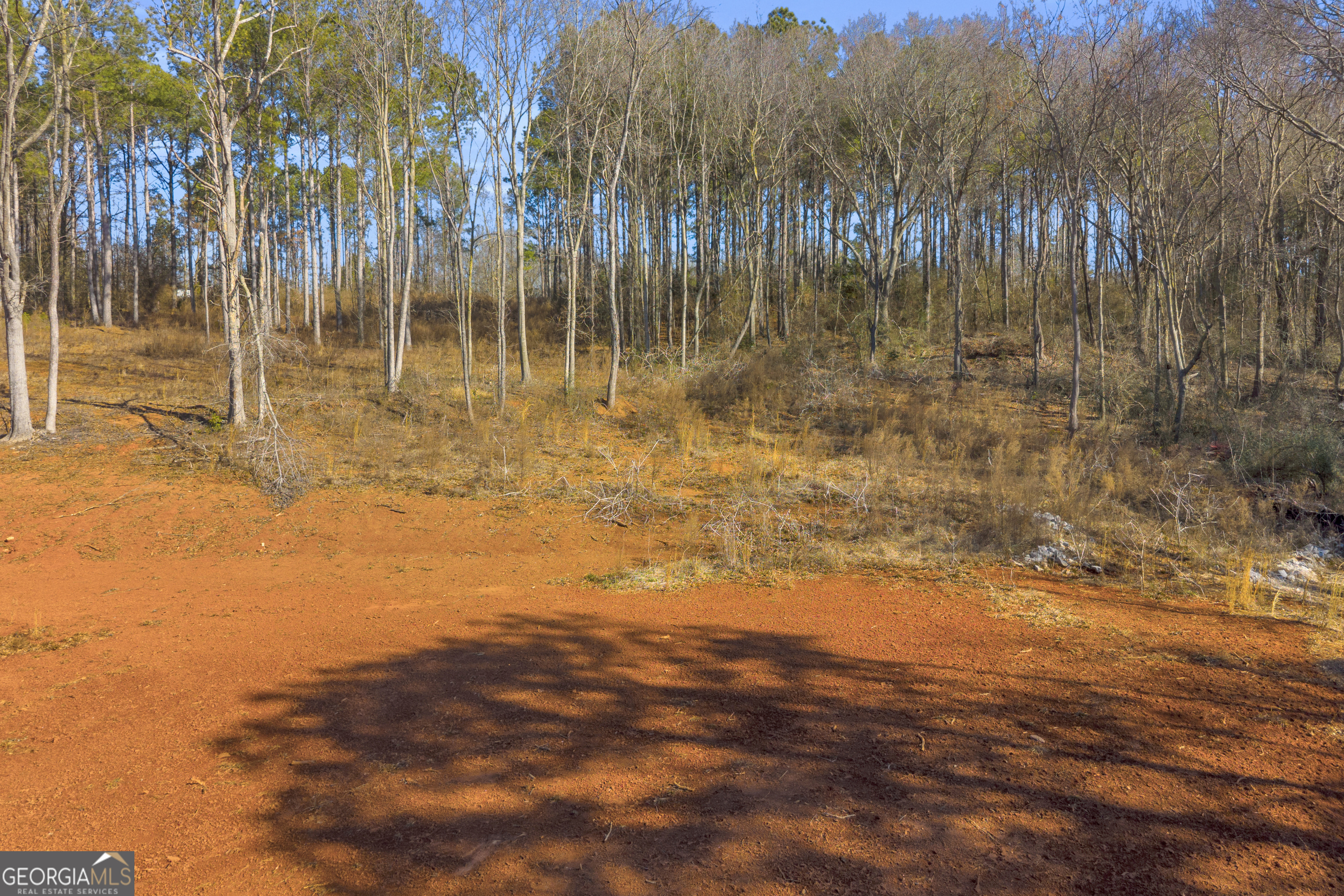 0 Noah Crow Road Royston, GA 30662 - Photo 25 of 29 a view of a yard with wooden fence