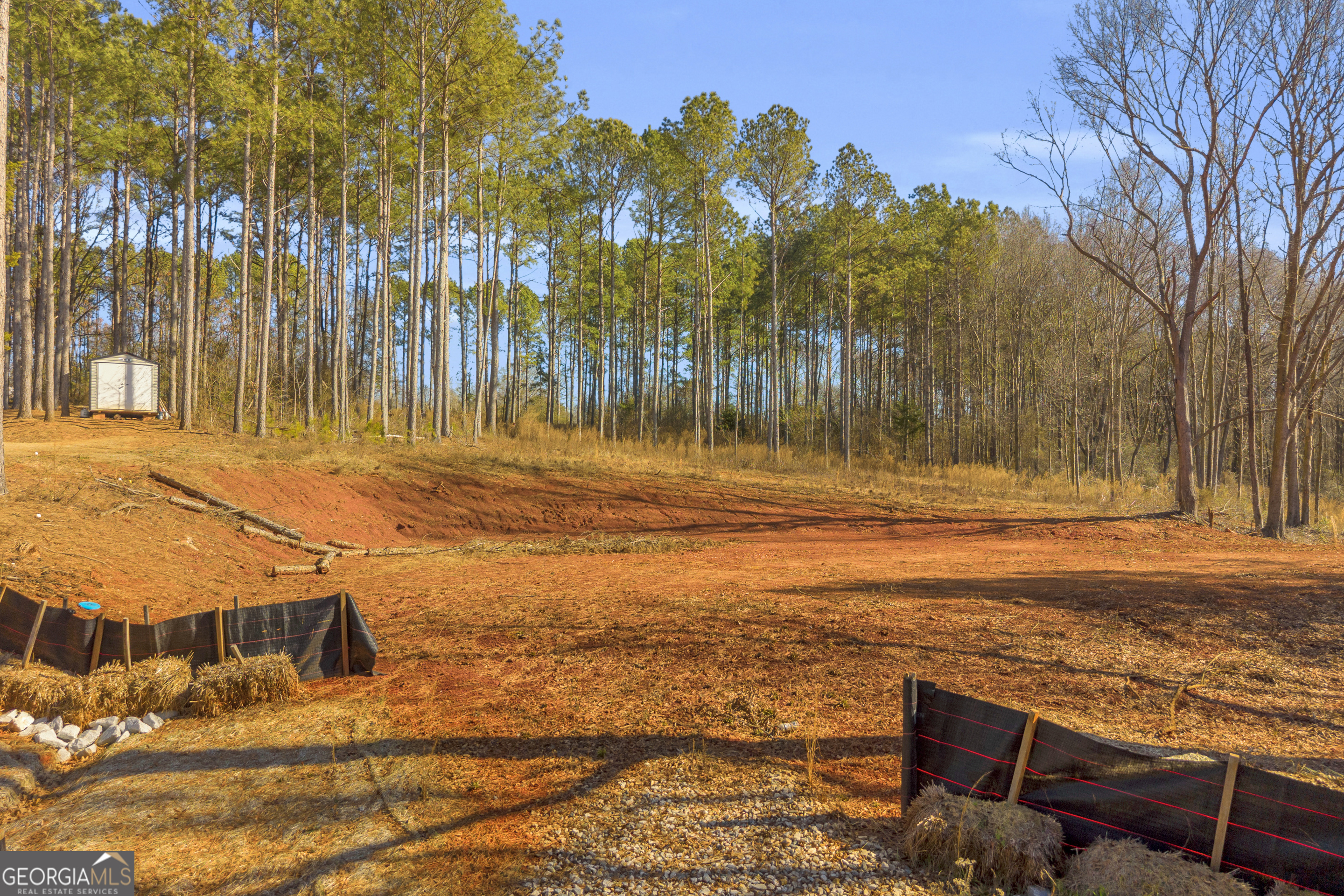 0 Noah Crow Road Royston, GA 30662 - Photo 29 of 29 a view of a yard with an trees