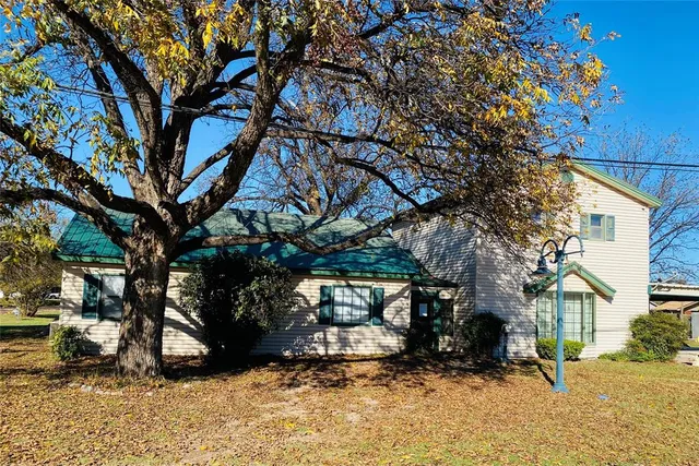 a tree in the middle of a yard