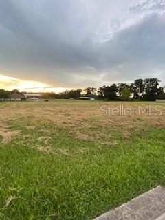 0 Northeast 107th Street Road Anthony, FL 32617 - Photo 1 of 1