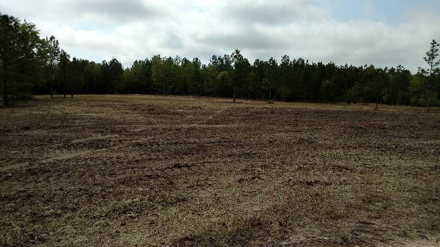 665 Windsor Road Windsor, SC 29856 - Photo 8 of 11