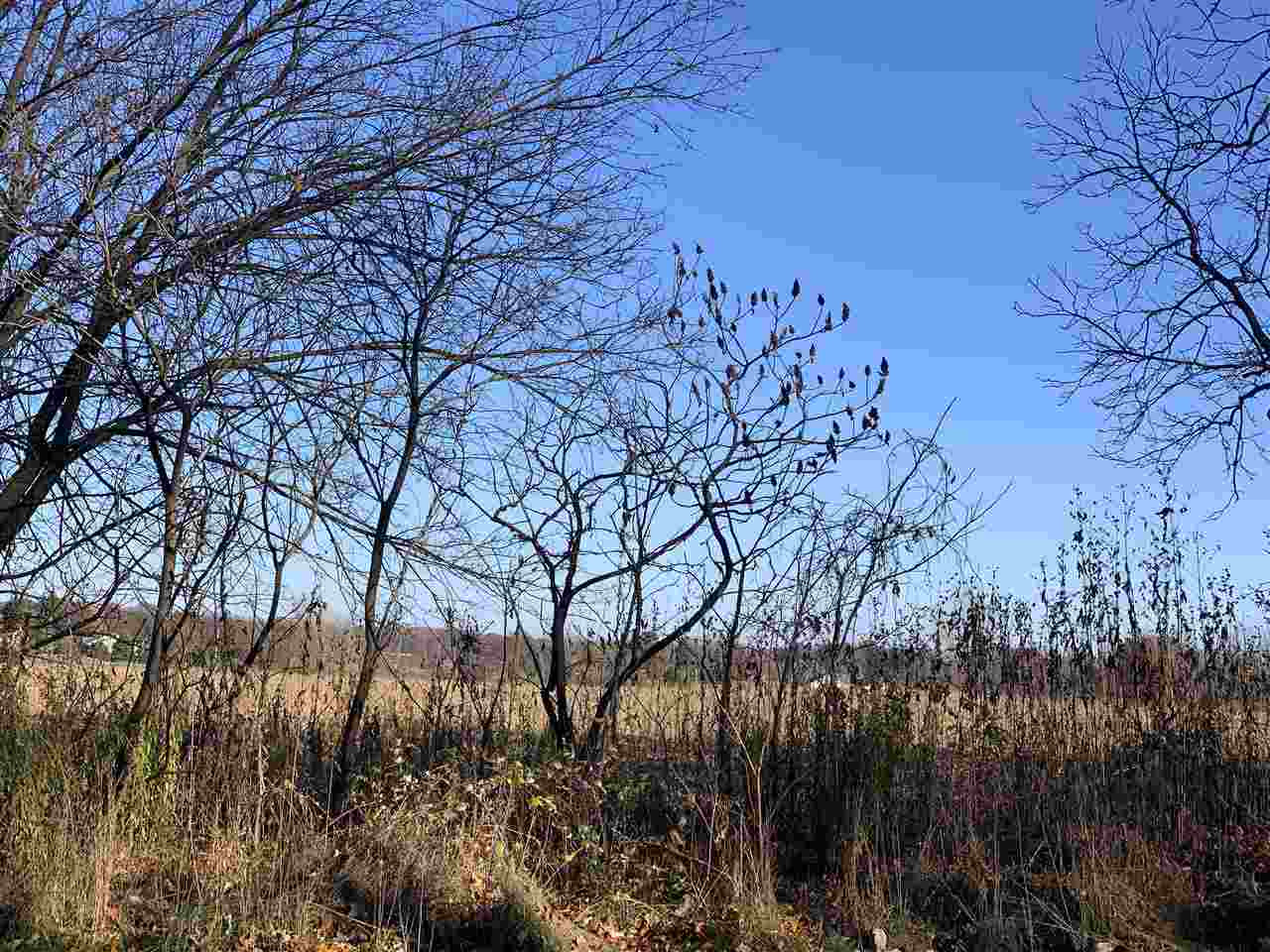 Vl King Road Spring Arbor, MI 49283 - Photo 2 of 5 Photo 2