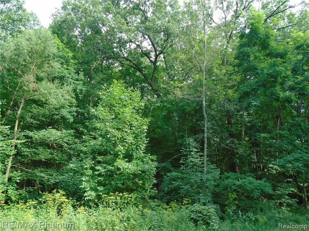A2 Hartland Road Fenton, MI 48430 - Photo 2 of 6