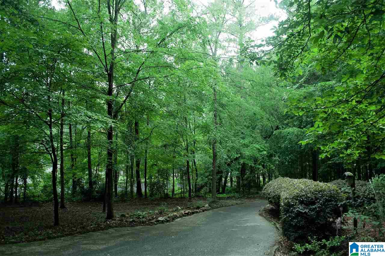 404 Rocky Ridge Road Northeast Jacksonville, AL 36265 - Photo 4 of 43