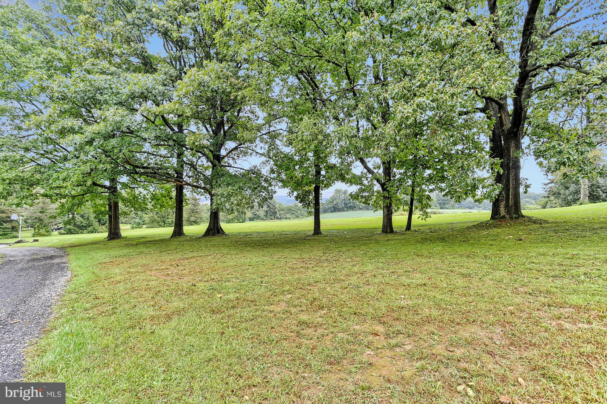 3644 Water Tank Road Manchester, MD 21102 - Photo 27 of 37 a view of a trees in a park