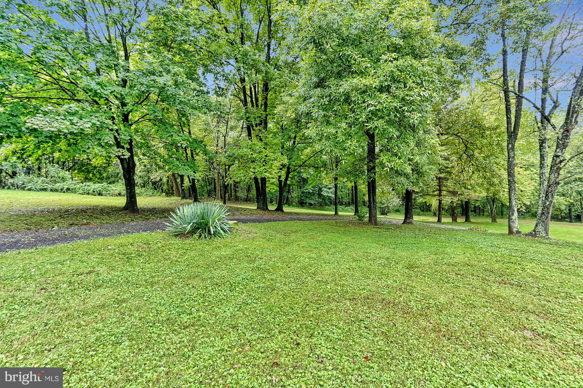 3644 Water Tank Road Manchester, MD 21102 - Photo 30 of 37 a view of green field with trees in the background