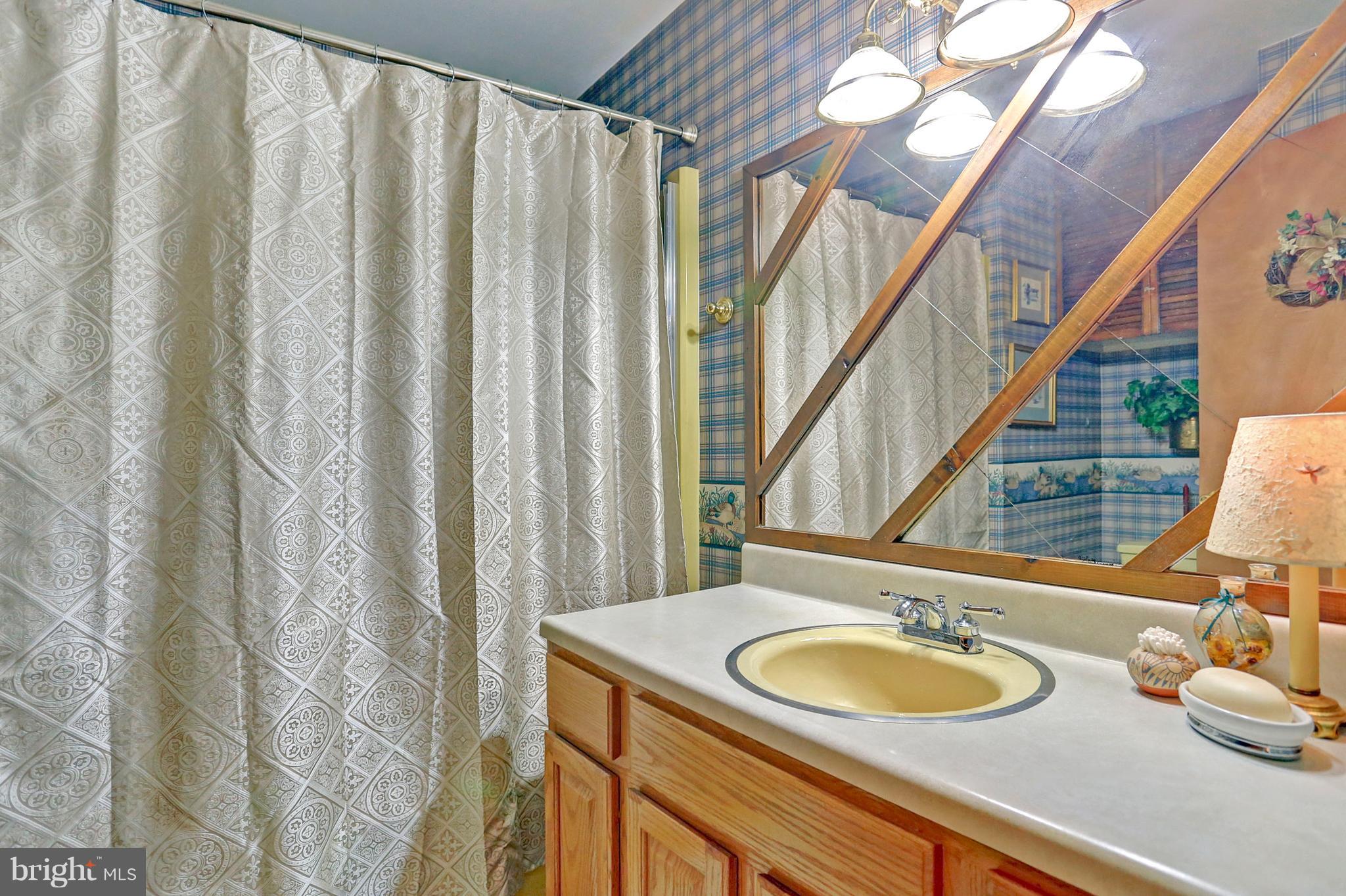 3644 Water Tank Road Manchester, MD 21102 - Photo 10 of 37 a bathroom with a sink and a mirror