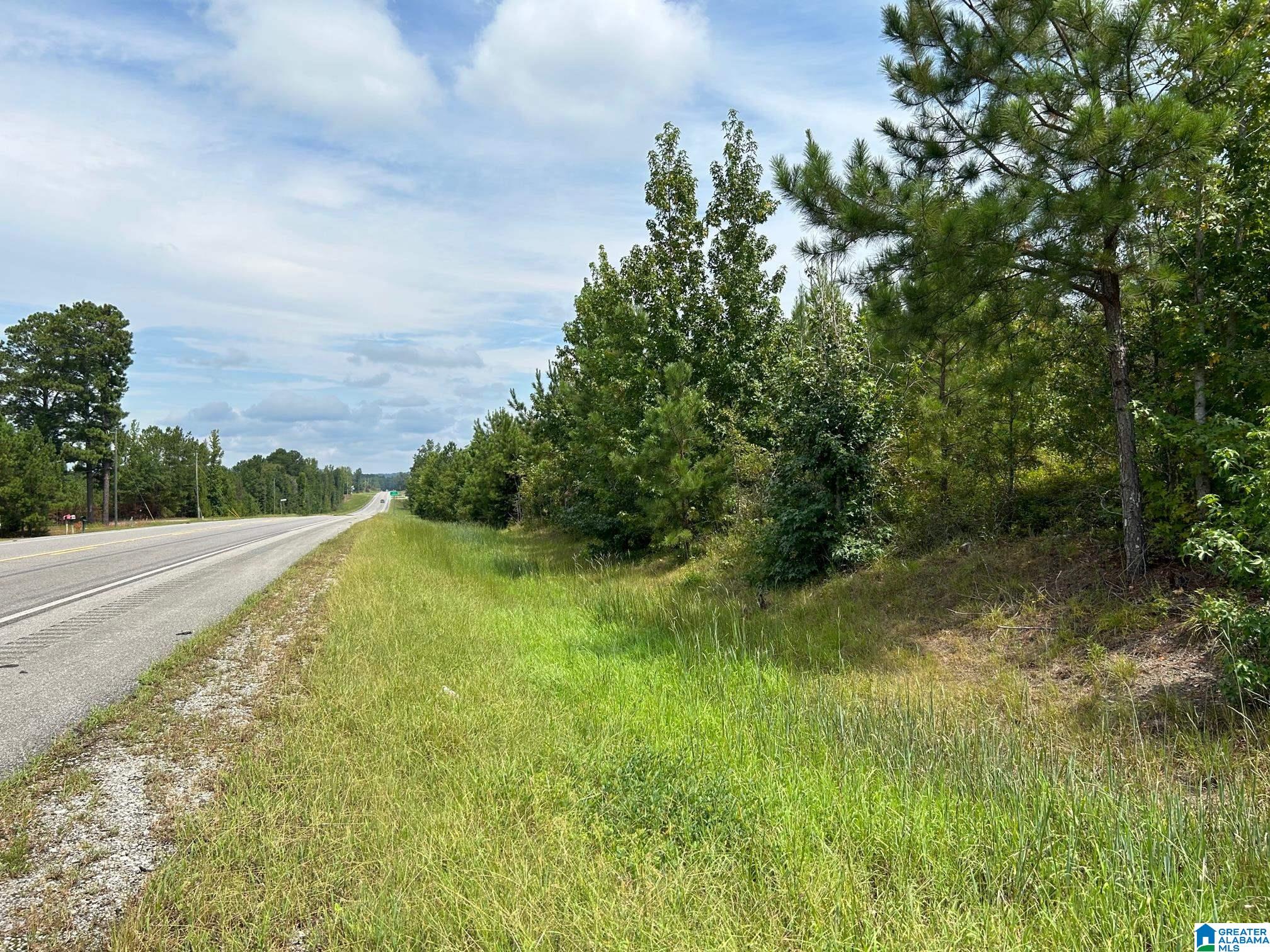 0 Alabama Highway Ohatchee, AL 36271 - Photo 6 of 10