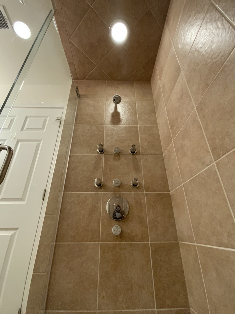 2025 South Indiana Avenue, Unit 209 Chicago, IL 60616 - Photo 32 of 49 a bathroom with a shower