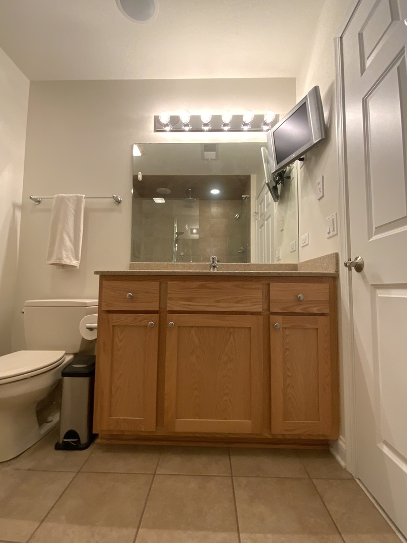 2025 South Indiana Avenue, Unit 209 Chicago, IL 60616 - Photo 34 of 49 a bathroom with a toilet a sink and mirror