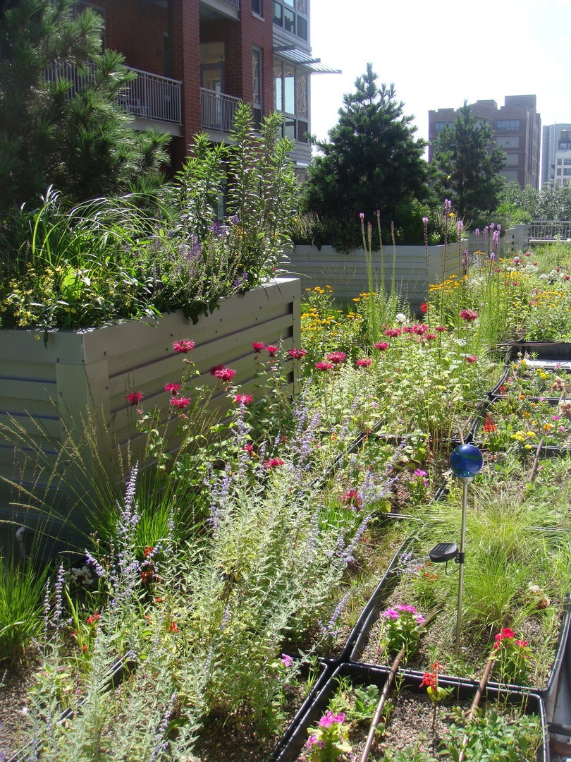 2025 South Indiana Avenue, Unit 209 Chicago, IL 60616 - Photo 43 of 49 a view of a garden with a lake