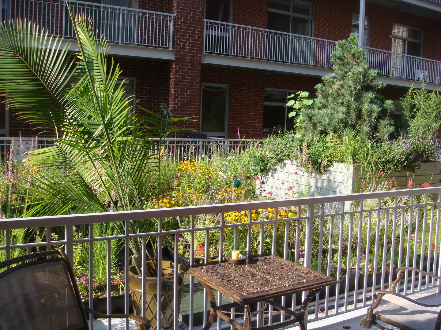 2025 South Indiana Avenue, Unit 209 Chicago, IL 60616 - Photo 44 of 49 a view of a wooden house with a flower garden