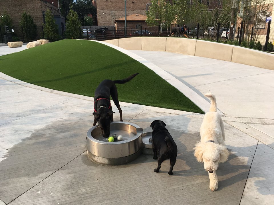 2025 South Indiana Avenue, Unit 209 Chicago, IL 60616 - Photo 5 of 49 a view of outdoor space and garden