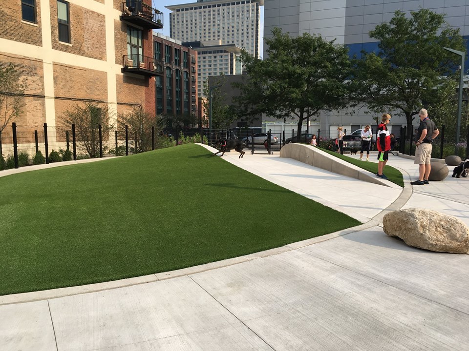 2025 South Indiana Avenue, Unit 209 Chicago, IL 60616 - Photo 6 of 49 a green field with trees in front of it