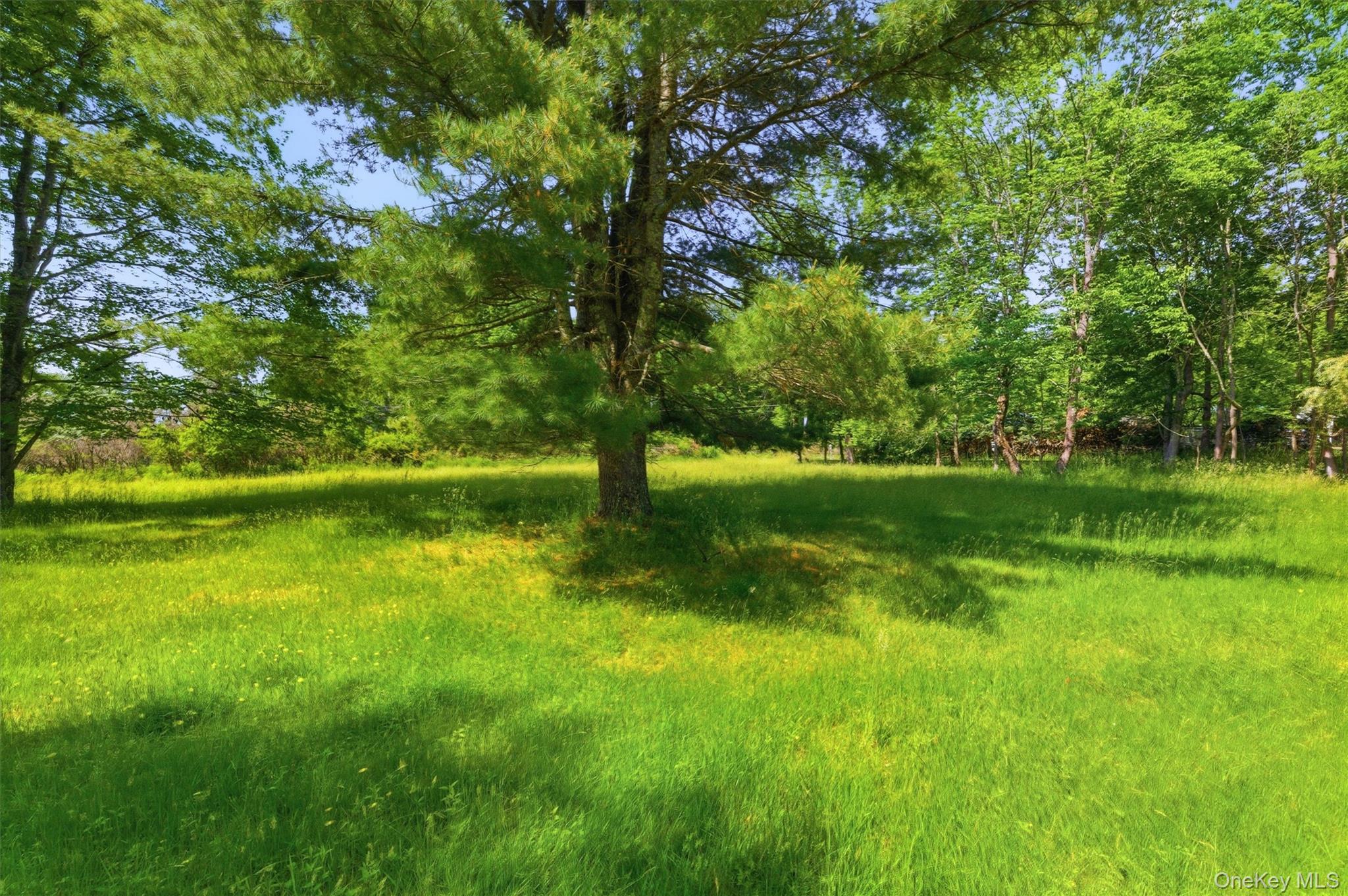 Tbd Britman Road Bethel, NY 12720 - Photo 4 of 16