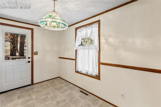 1828 Sioux Road Florissant, CO 80816 - Photo 11 of 49 Gallery Image 11