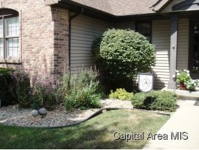 1005 Monarch Drive Chatham, IL 62629 - Photo 20 of 20