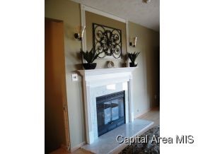 1005 Monarch Drive Chatham, IL 62629 - Photo 3 of 20