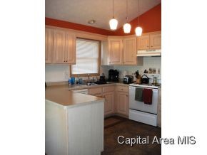 1005 Monarch Drive Chatham, IL 62629 - Photo 6 of 20