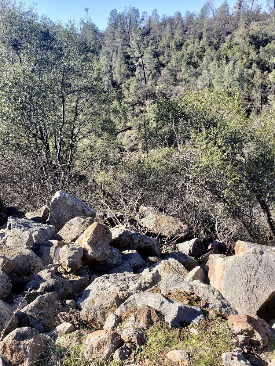 24990 Dersch Road Shingletown, CA 96088 - Photo 38 of 50 51F7F76A-4D75-4C3B-832C-634F54140F20