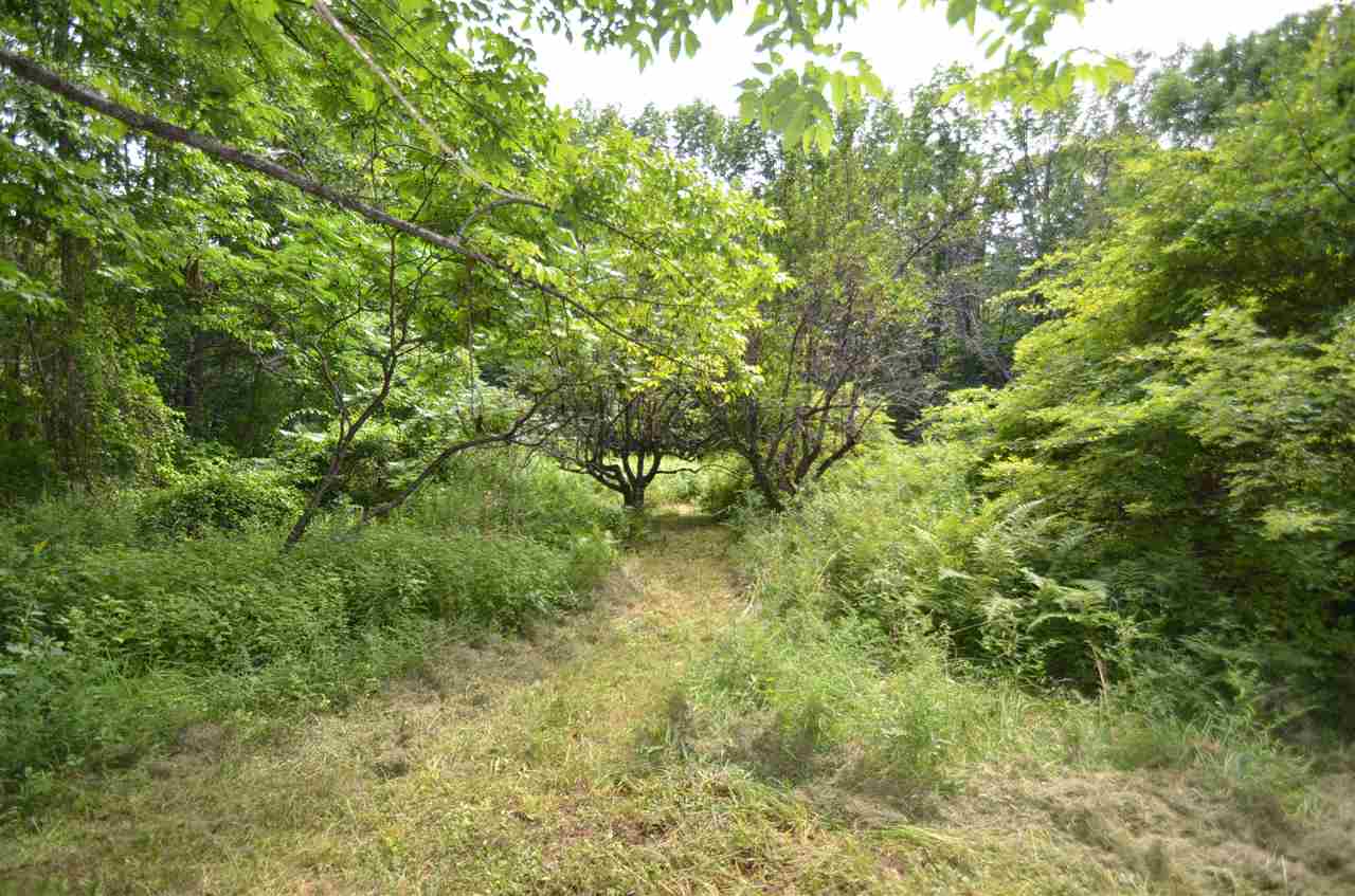 420-120 Shellcamp Road Gilmanton, NH 03237 - Photo 5 of 15