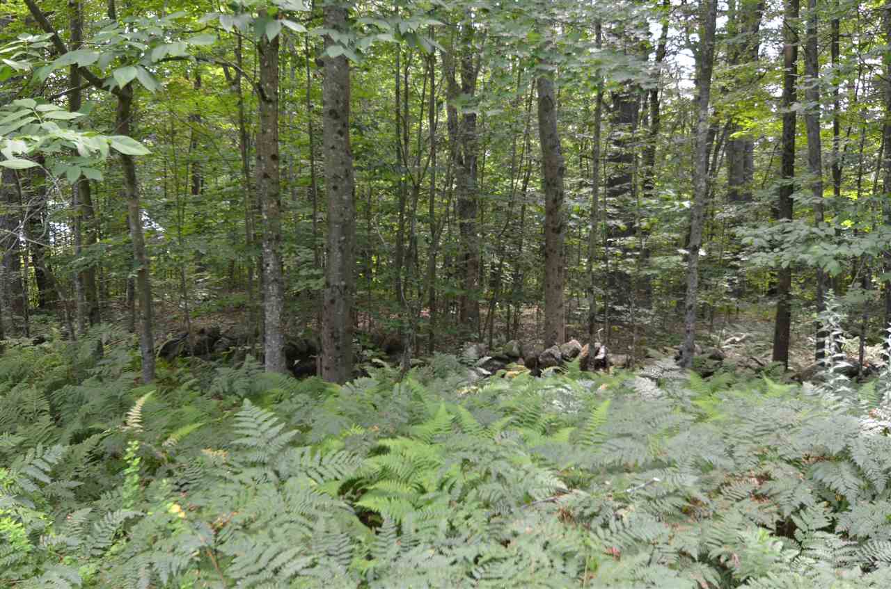 420-120 Shellcamp Road Gilmanton, NH 03237 - Photo 9 of 15