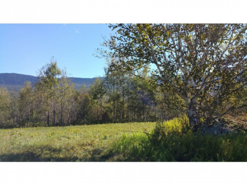 0 Downingsville Road Lincoln, VT 05443 - Photo 10 of 27 Gallery Image 10