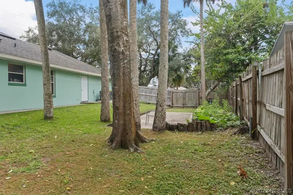 a view of a yard with plants