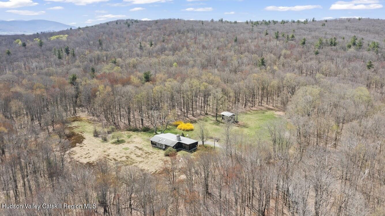 51 Sabeff Road Hillsdale, NY 12529 - Photo 3 of 40 Drone 1