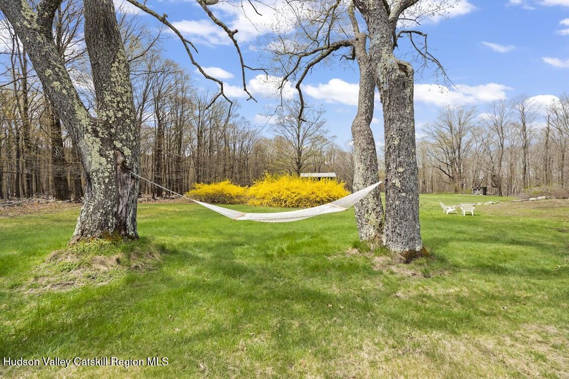 51 Sabeff Road Hillsdale, NY 12529 - Photo 37 of 40 Back Yard 3