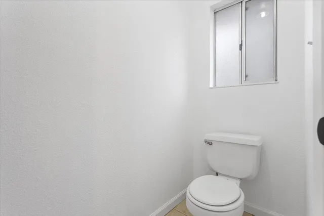 a view of a yard with plants