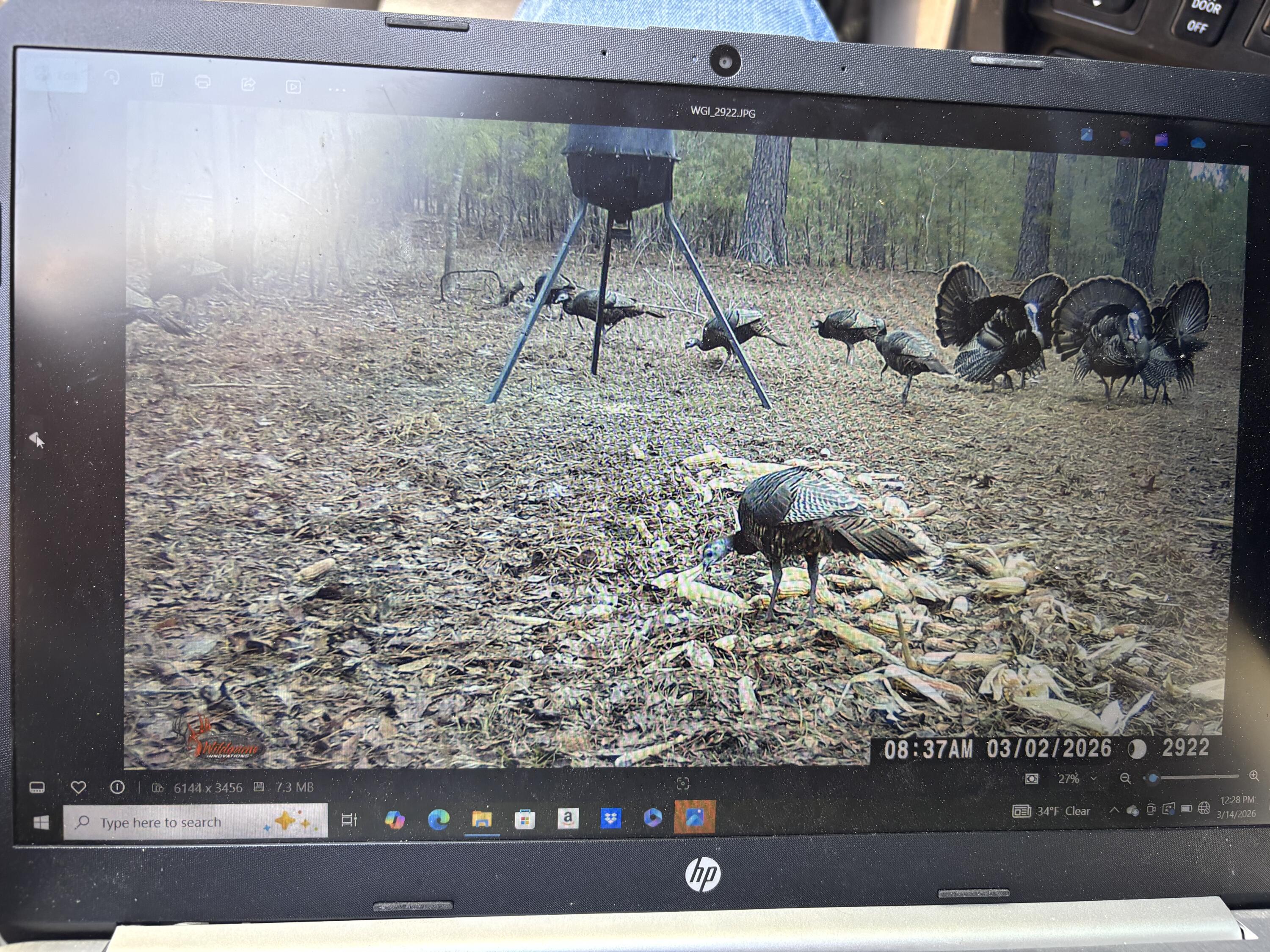 1530 Catfish Lane Manning, SC 29102 - Photo 4 of 37 turkeys