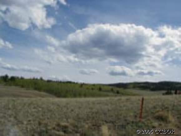 244 Brahma Circle Hartsel, CO 80449 - Photo 1 of 1 a view of a lake with trees in the background
