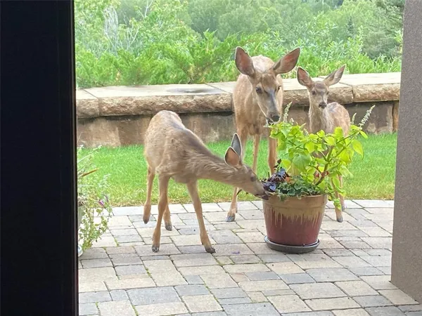 a view of wooden floor
