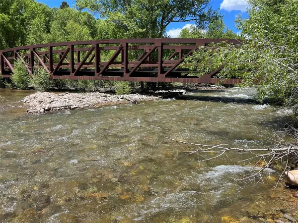 a view of a forest with trees in the background