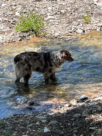 $17,500,000 | 3456 Cr 124 Durango Co 81326, Mancos, CO 81328