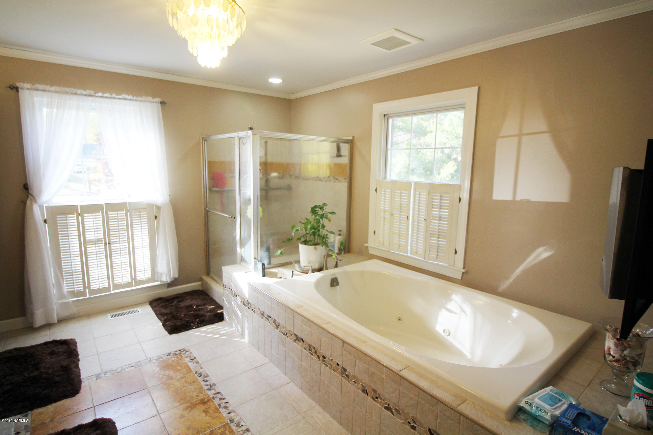 110 South Reed Drive Washington, NC 27889 - Photo 7 of 43 5.1 master bath 2