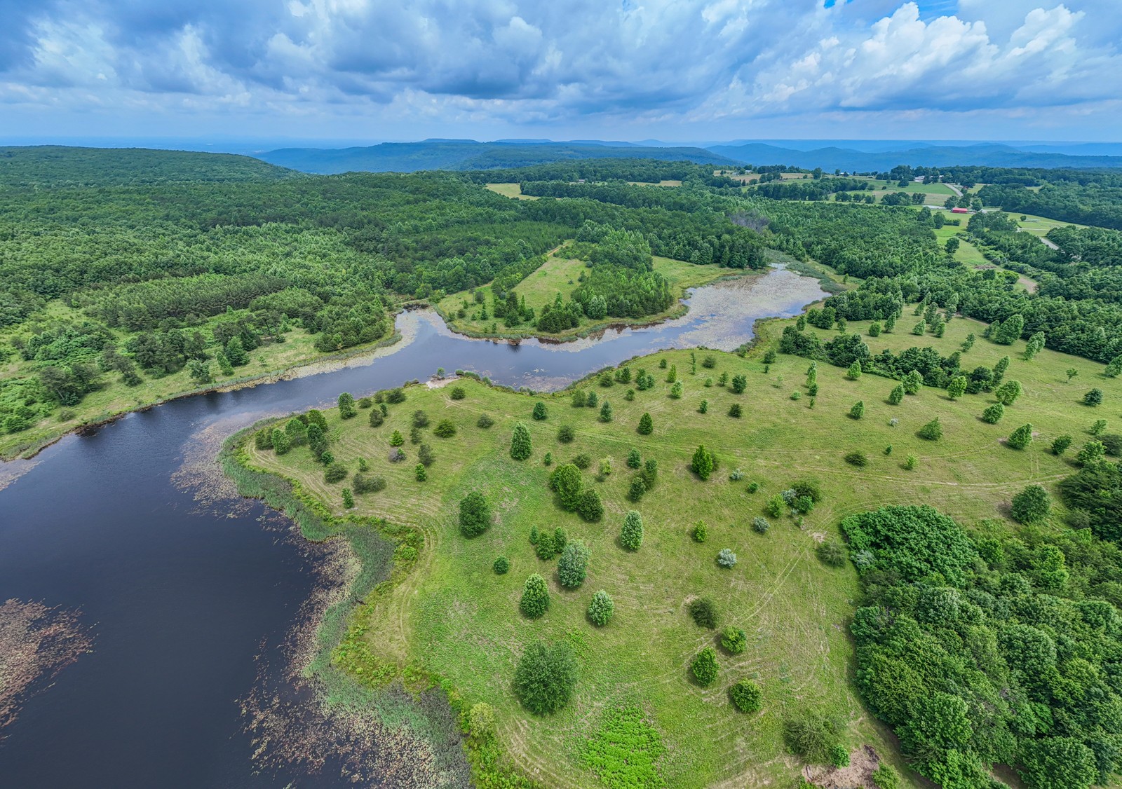a view of a lake with a yard