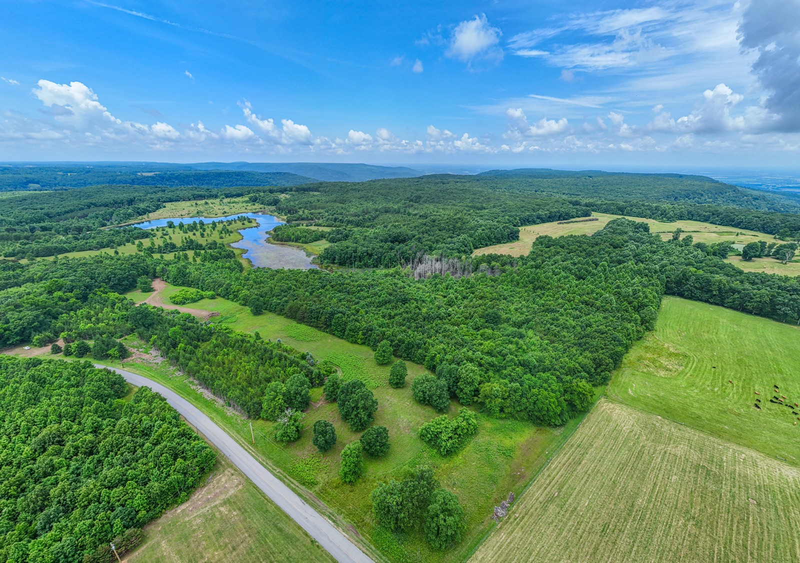 0 Gap Road Altamont, TN 37301 - Photo 12 of 28