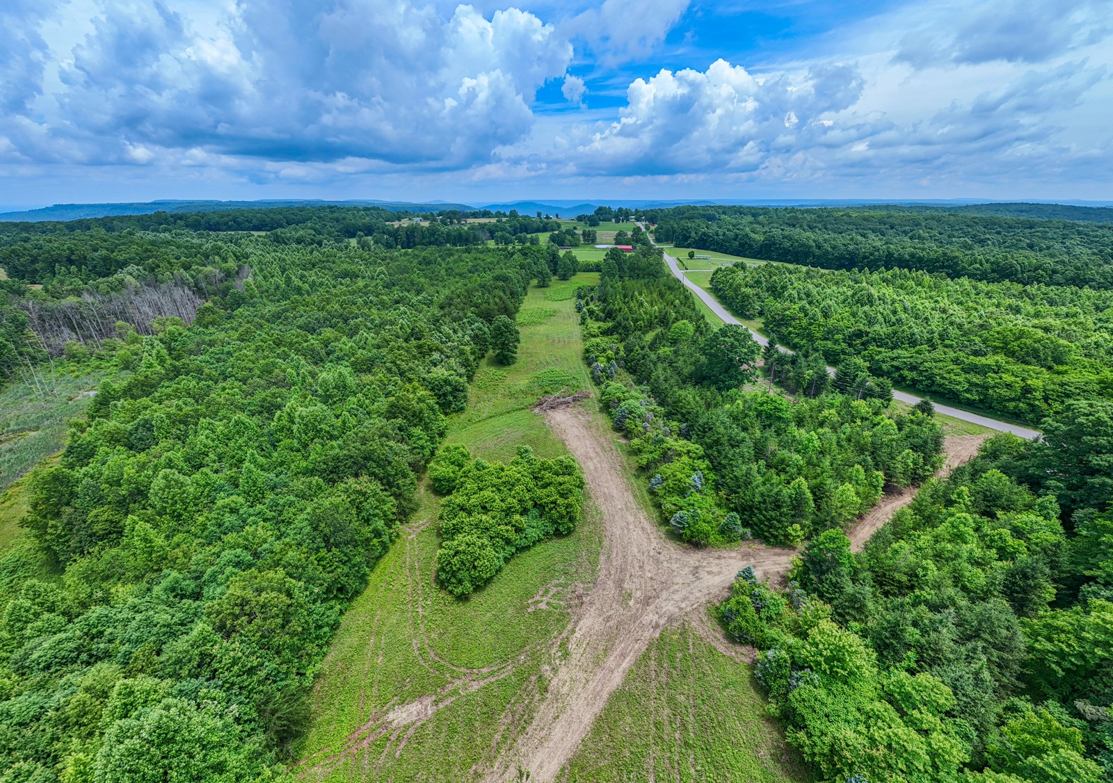 0 Gap Road Altamont, TN 37301 - Photo 19 of 28 a view of a green field with lots of bushes