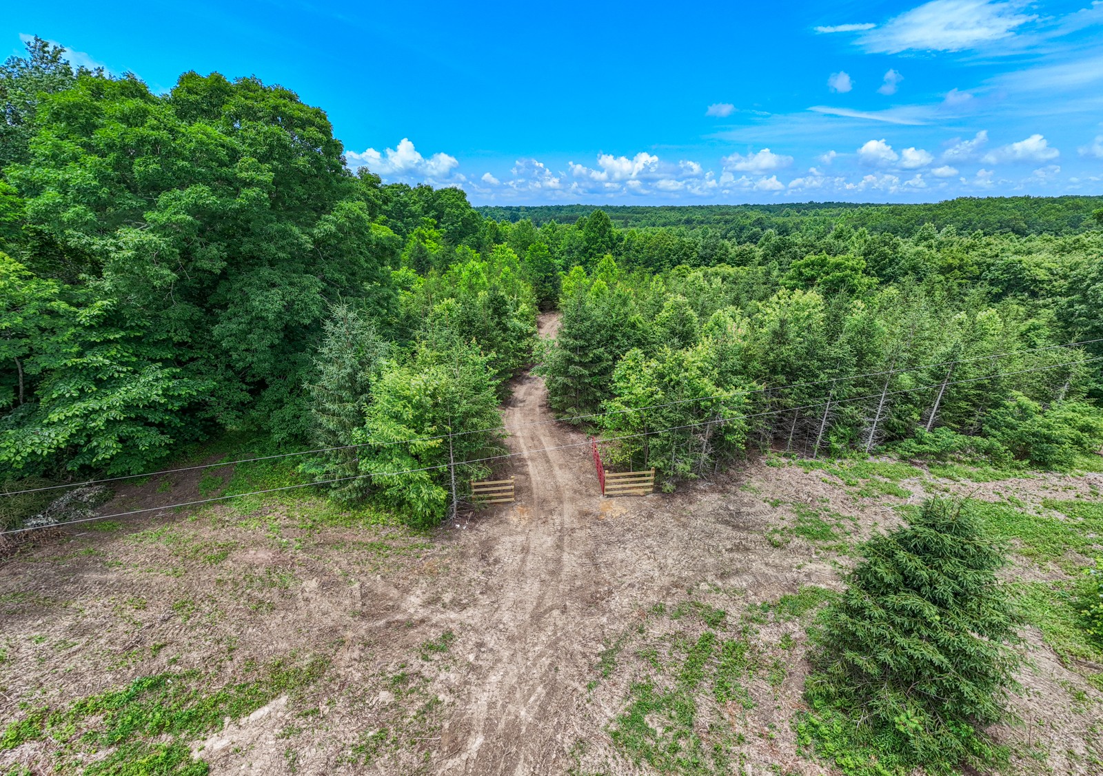 0 Gap Road Altamont, TN 37301 - Photo 20 of 28 a view of a yard