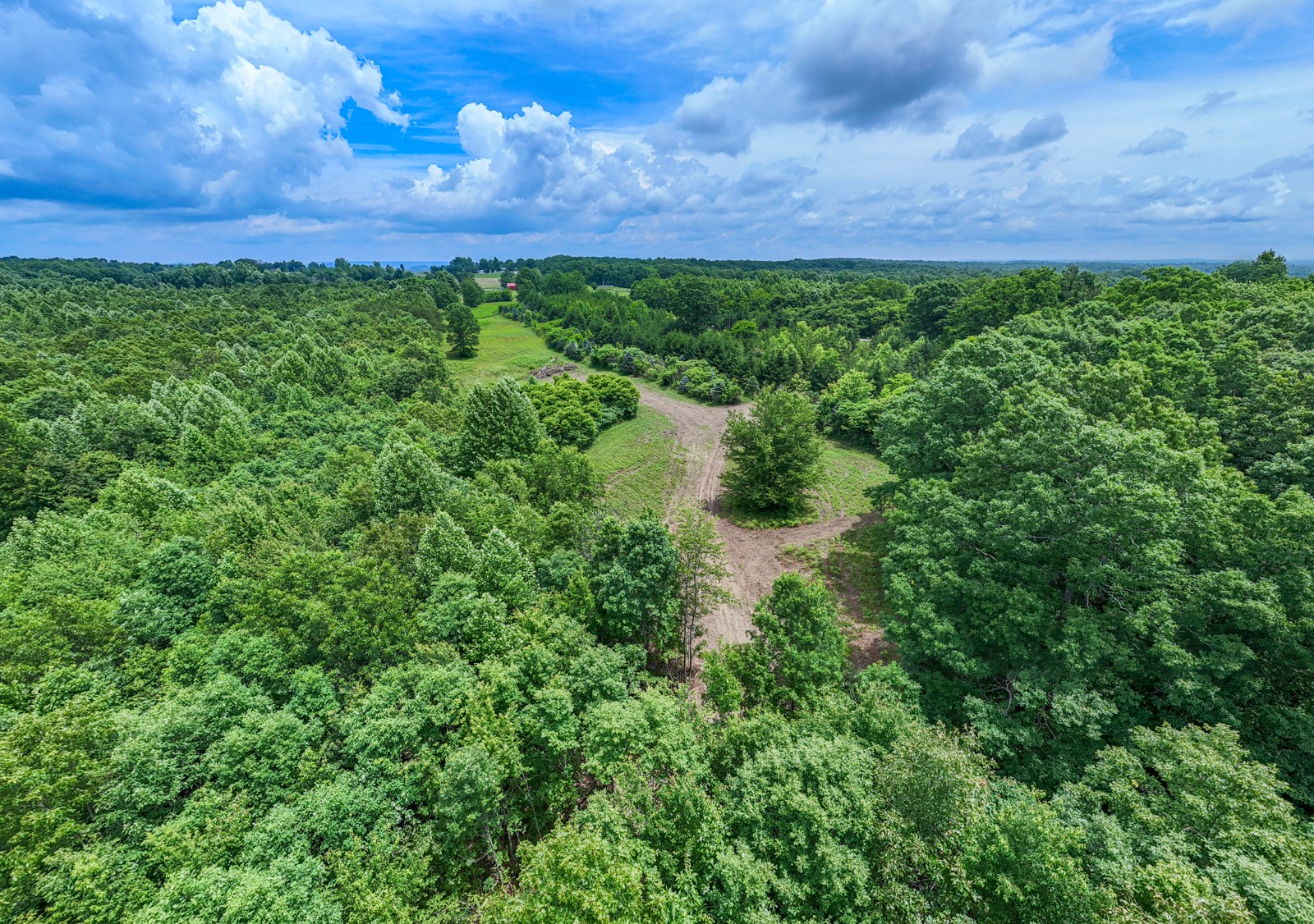 0 Gap Road Altamont, TN 37301 - Photo 21 of 28 a view of a big yard with a garden