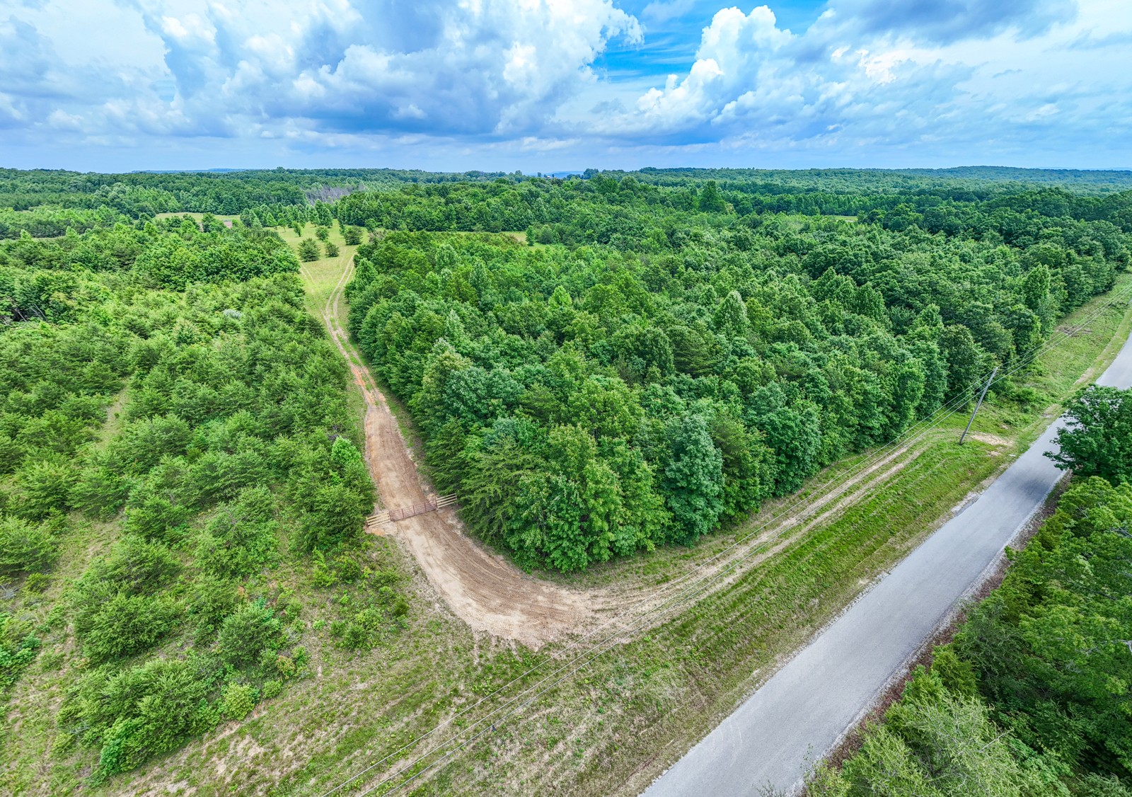 0 Gap Road Altamont, TN 37301 - Photo 23 of 28 a view of a garden