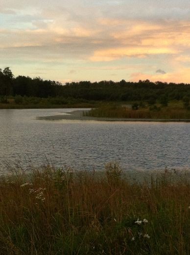 0 Gap Road Altamont, TN 37301 - Photo 28 of 28 a view of lake