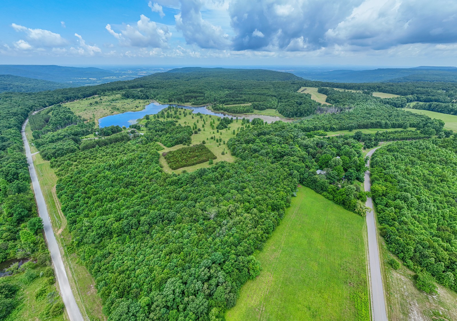 0 Gap Road Altamont, TN 37301 - Photo 4 of 28 a view of a garden with an outdoor space