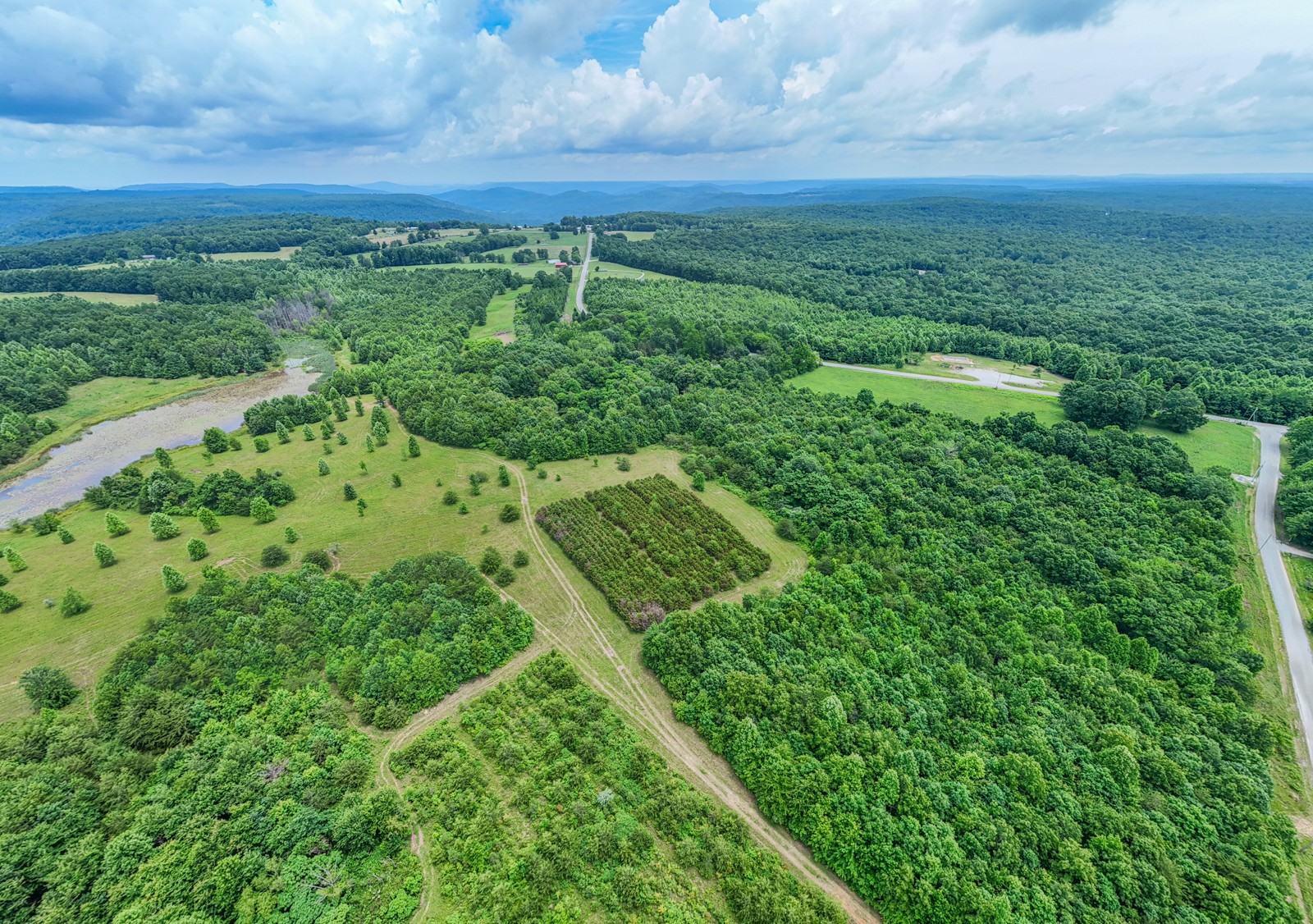 0 Gap Road Altamont, TN 37301 - Photo 6 of 28 a view of a city with lush green forest